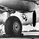 Illustration for article titled The time Goodyear built custom buses to show off 12-foot-tall tires.